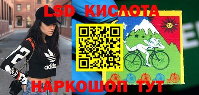 прущие крисы Кандалакша