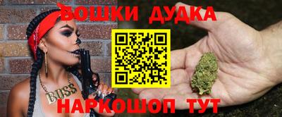 прущие крисы Кандалакша