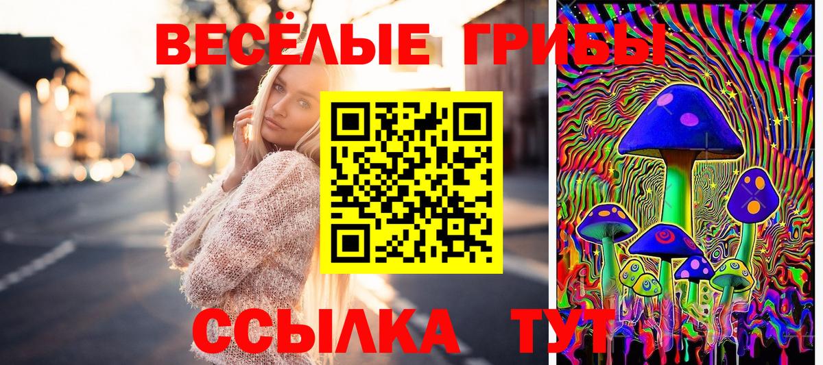 купить закладку  Вход с VPN  Елизово  Галлюциногенные грибы MAGIC MUSHROOMS 